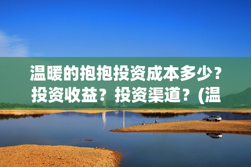 温暖的抱抱投资成本多少？投资收益？投资渠道？(温暖的抱抱投资会血本无归吗)