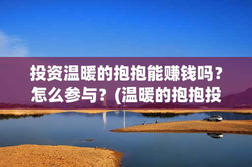 投资温暖的抱抱能赚钱吗？怎么参与？(温暖的抱抱投资额)