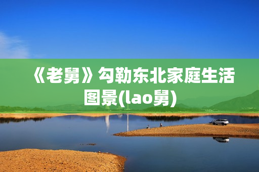 《老舅》勾勒东北家庭生活图景(lao舅)
