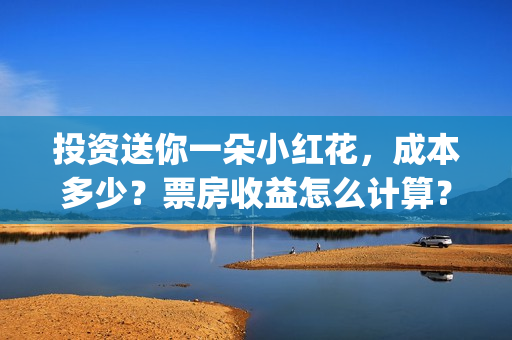 投资送你一朵小红花，成本多少？票房收益怎么计算？(投资送你一朵小红花)