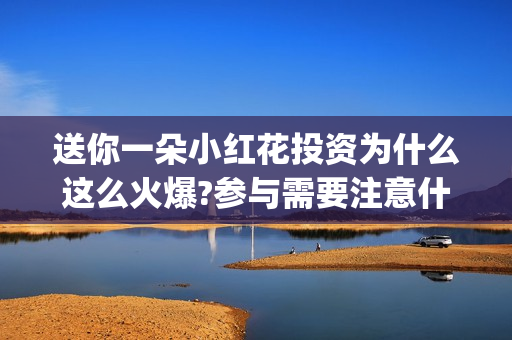 送你一朵小红花投资为什么这么火爆?参与需要注意什么(送你一朵小红花电影剧情介绍)