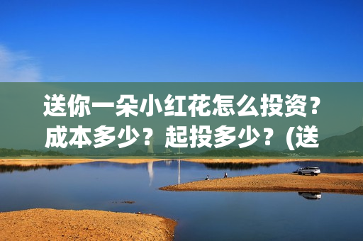 送你一朵小红花怎么投资？成本多少？起投多少？(送你一朵小红花演员表)