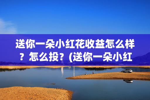送你一朵小红花收益怎么样？怎么投？(送你一朵小红花歌词表达什么意思)