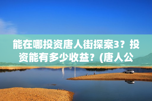 能在哪投资唐人街探案3？投资能有多少收益？(唐人公司在哪里)