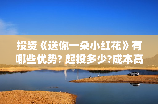 投资《送你一朵小红花》有哪些优势? 起投多少?成本高吗?(送你一朵花投资方)