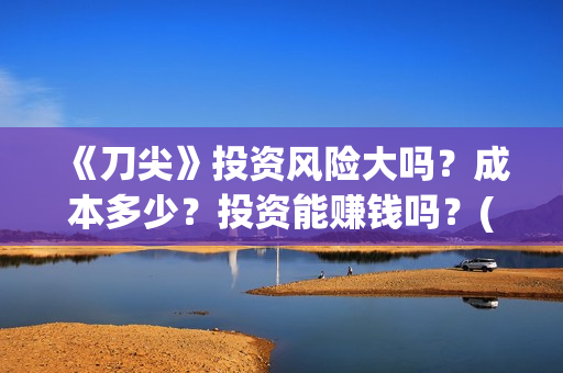 《刀尖》投资风险大吗？成本多少？投资能赚钱吗？(刀尖主演)