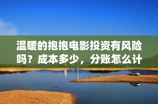 温暖的抱抱电影投资有风险吗？成本多少，分账怎么计算(温暖的抱抱电影歌曲)