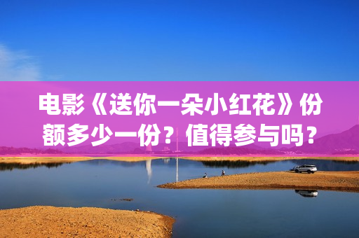 电影《送你一朵小红花》份额多少一份？值得参与吗？(电影送你一朵小花)