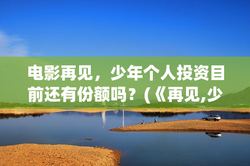 电影再见，少年个人投资目前还有份额吗？(《再见,少年》)
