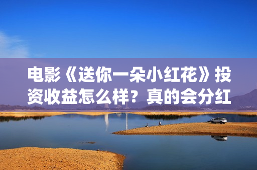 电影《送你一朵小红花》投资收益怎么样?真的会分红到个人吗?(电影《送你一朵小红花》) 电影《送你一朵小红花》投资收益怎么样?真的会分红到个人吗?(电影《送你一朵小红花》)