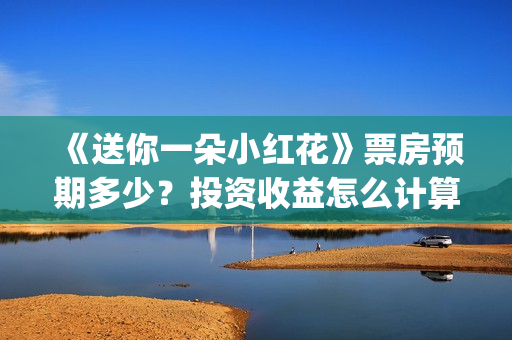 《送你一朵小红花》票房预期多少？投资收益怎么计算？(送你一朵小红花电影免费观看)