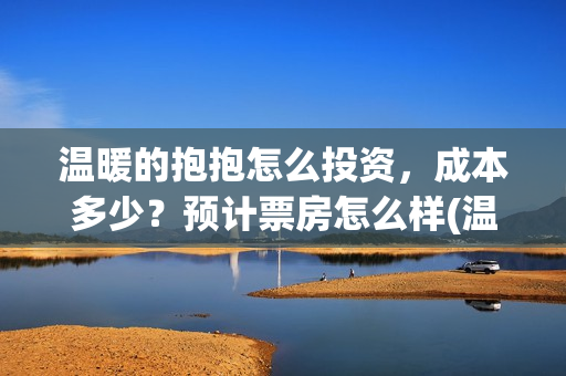 温暖的抱抱怎么投资，成本多少？预计票房怎么样(温暖的抱抱怎么画)