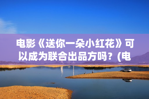 电影《送你一朵小红花》可以成为联合出品方吗？(电影送你一朵小红花讲述的主题是抗癌吗)