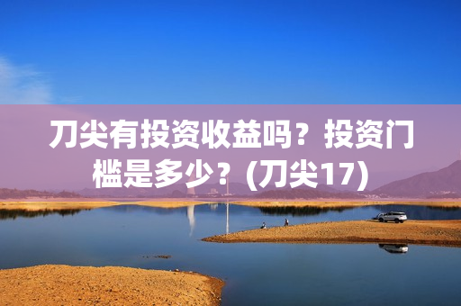刀尖有投资收益吗？投资门槛是多少？(刀尖17)