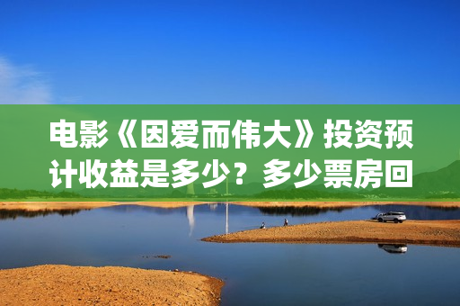 电影《因爱而伟大》投资预计收益是多少？多少票房回本？(电影因爱而伟大主演)