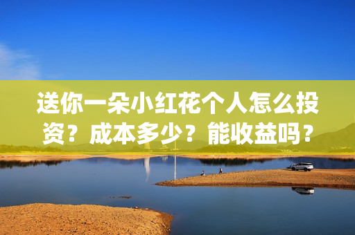 送你一朵小红花个人怎么投资？成本多少？能收益吗？(送你一朵小红花演员表)
