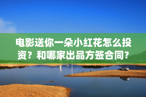 电影送你一朵小红花怎么投资？和哪家出品方签合同？(电影送你一朵小红花观后感)
