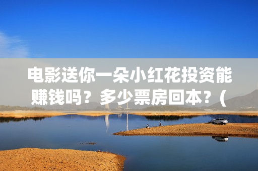 电影送你一朵小红花投资能赚钱吗？多少票房回本？(电影送你一朵小红花的英文)