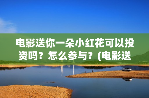 电影送你一朵小红花可以投资吗？怎么参与？(电影送你一朵小红花简介)