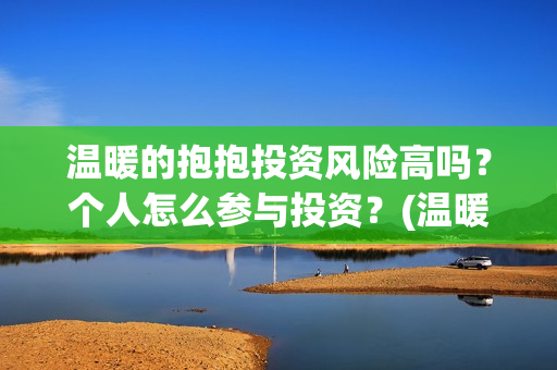 温暖的抱抱投资风险高吗？个人怎么参与投资？(温暖的抱抱投资收益)