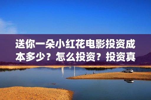 送你一朵小红花电影投资成本多少?怎么投资?投资真实吗?(送你一朵小红花电影剧情介绍) 送你一朵小红花电影投资成本多少?怎么投资?投资真实吗?(送你一朵小红花电影剧情介绍)
