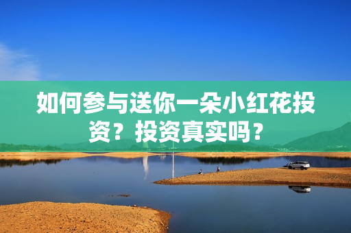 如何参与送你一朵小红花投资？投资真实吗？