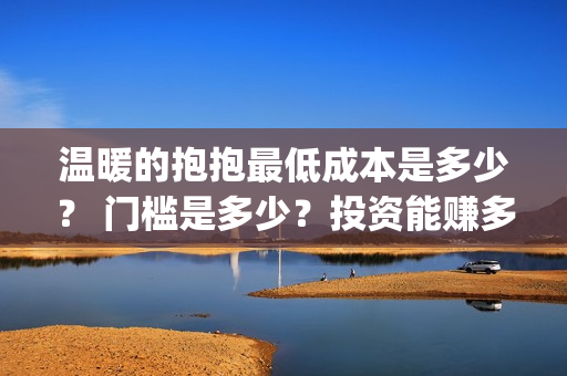 温暖的抱抱最低成本是多少？ 门槛是多少？投资能赚多少钱？(温暖的抱抱破5亿)