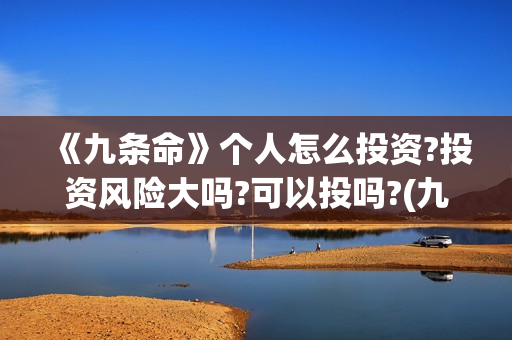 《九条命》个人怎么投资?投资风险大吗?可以投吗?(九条命简介)