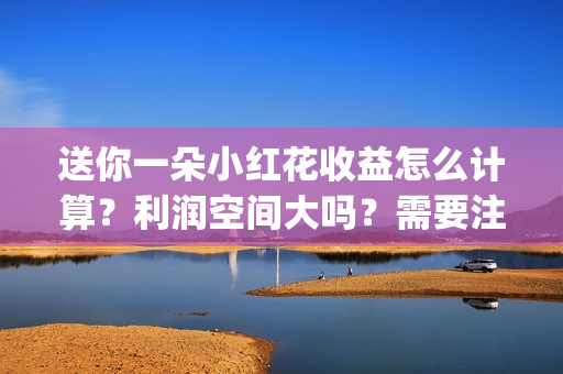 送你一朵小红花收益怎么计算？利润空间大吗？需要注意什么?(送你一朵小红花电影免费观看)