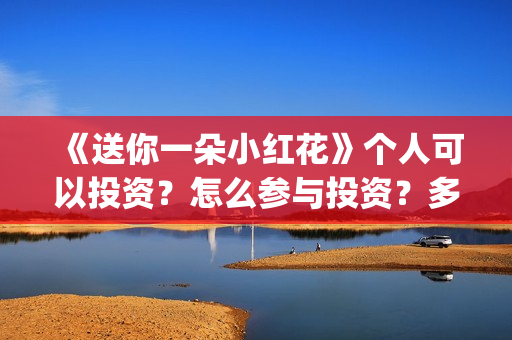 《送你一朵小红花》个人可以投资？怎么参与投资？多少起投？(送你一朵小红花原唱)