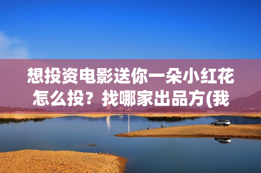 想投资电影送你一朵小红花怎么投?找哪家出品方(我想投资电影) 想投资电影送你一朵小红花怎么投?找哪家出品方(我想投资电影)