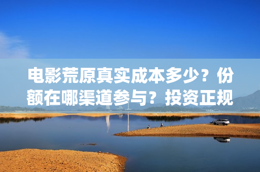 电影荒原真实成本多少？份额在哪渠道参与？投资正规吗？(荒原电影是哪个公司出品的)