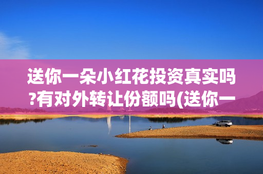 送你一朵小红花投资真实吗?有对外转让份额吗(送你一朵小红花歌词表达什么意思)