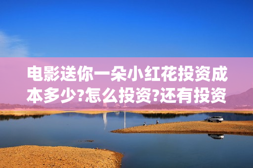 电影送你一朵小红花投资成本多少?怎么投资?还有投资份额吗?(电影送你一朵小红花讲述的主题是抗癌吗)