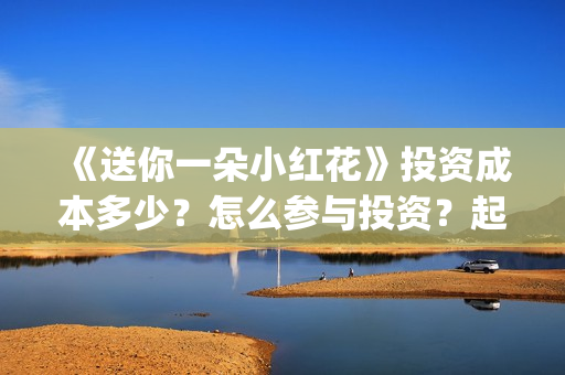 《送你一朵小红花》投资成本多少？怎么参与投资？起投多少？(送你一朵小红花电影)