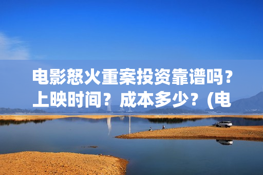 电影怒火重案投资靠谱吗？上映时间？成本多少？(电影《怒火重案》)