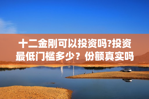 十二金刚可以投资吗?投资最低门槛多少？份额真实吗(十二金刚1)