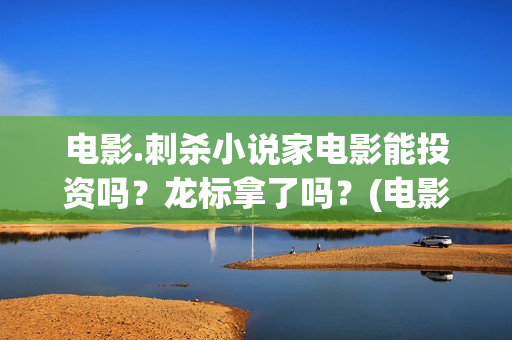 电影.刺杀小说家电影能投资吗？龙标拿了吗？(电影刺杀小说家2票房多少)