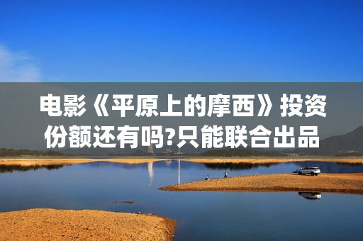 电影《平原上的摩西》投资份额还有吗?只能联合出品方认购份额吗？(小说平原上的歌谣免费阅读)