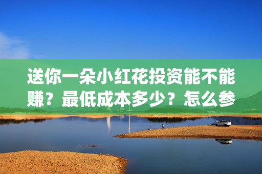 送你一朵小红花投资能不能赚？最低成本多少？怎么参与？(送你一朵小红花歌词)