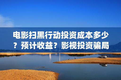 电影扫黑行动投资成本多少？预计收益？影视投资骗局？(扫黑行动电影简介)