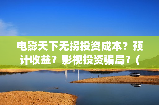 电影天下无拐投资成本？预计收益？影视投资骗局？(天下无拐电影怎么样)