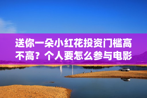 送你一朵小红花投资门槛高不高？个人要怎么参与电影的投资？(送你一朵小红花歌词)