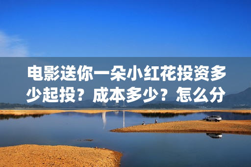 电影送你一朵小红花投资多少起投？成本多少？怎么分红？(电影送你一朵小红花讲述的主题是抗癌吗)