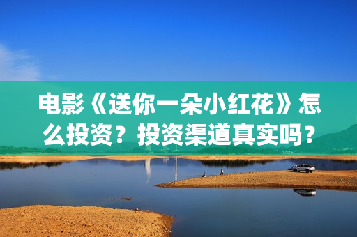 电影《送你一朵小红花》怎么投资？投资渠道真实吗？(电影送你一朵小红花讲述的主题是抗癌吗)