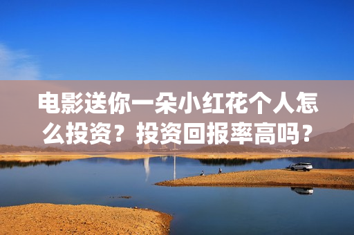 电影送你一朵小红花个人怎么投资？投资回报率高吗？(电影送你一朵小红花讲述的主题是抗癌吗)