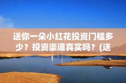 送你一朵小红花投资门槛多少？投资渠道真实吗？(送你一朵小红花歌词表达什么意思)