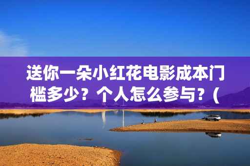 送你一朵小红花电影成本门槛多少？个人怎么参与？(送你一朵小红花结局)