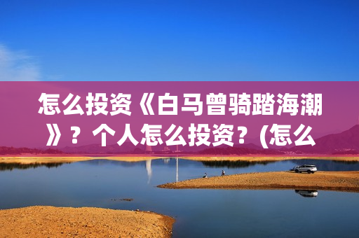 怎么投资《白马曾骑踏海潮》？个人怎么投资？(怎么投资《白马》赚钱)