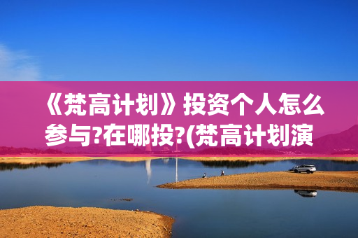 《梵高计划》投资个人怎么参与?在哪投?(梵高计划演员表)